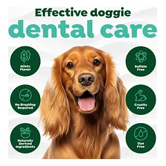 TropiClean Fresh Breath Mint Dental Foam – putos dantų priežiūrai šunims 133ml — 2 nuotrauka