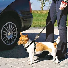 Trixie automobilio petnešos šunims, Dydis S: 30 - 60 cm Krūtinės apimtis — 3 nuotrauka