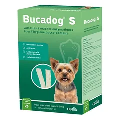 OSALIA - BUCADOG-SCHEIBEN - OSALIA