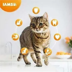IAMS Cat Adult su vištiena, sausas maistas katėms 10 kg — 3 nuotrauka
