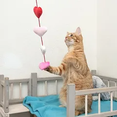 zooplus Exclusive žaislas katėms Valentino dienai, 1 vnt. — 2 nuotrauka