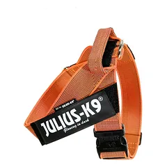 Julius - K9 IDC Color & Gray diržinis pakinktai - šunų pakinktai, diržiniai pakinktai, Czerwona / 2 — 5 nuotrauka
