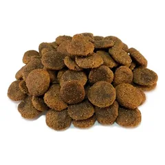 Arquivet Dog Grain Free su lašiša, sausas maistas šunims — 2 nuotrauka