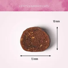 ANTOS Diced Beef skanėstai katėms su jautiena 50g — 2 nuotrauka