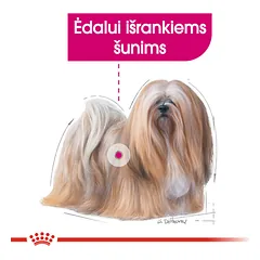 ROYAL CANIN CCN Mini exigent sausas maistas išrankiems suaugusiems šunims 1 kg — 3 nuotrauka