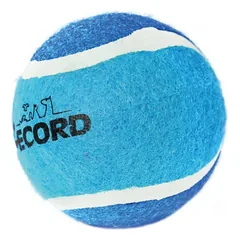 Record šuns teniso kamuoliukas - teniso kamuoliukas šunims