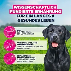 Eukanuba Premium Nutrition Junior Large & Giant Breed su vištiena, sausas maistas šunims — 4 nuotrauka