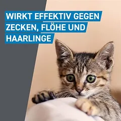 Frontline® Spot on Katze, Frontline® Spot on Katze 6 Pipetten x 0,5 ml — 3 nuotrauka