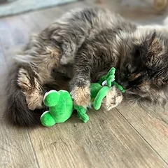 Aumüller žaislas katėms Chameleonas Olly, 1 vnt. — 2 nuotrauka