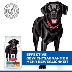 Hill's Science Plan Perfect Weight & Active Mobility Adult 1+ Large su vištiena, sausas maistas šunims — 3 nuotrauka