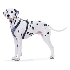 HUNTER NEOPRENE petnešos iš neopreno šunims, L, pilkos — 3 nuotrauka