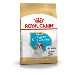 ROYAL CANIN Cavalier King Charles Spaniel Puppy Sausas maistas šuniukams iki 10 mėnesių, veislė – kavalieriaus karolio spanielis, 2 x 1,5 kg