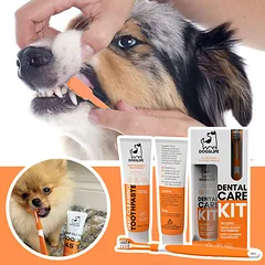 DOGSLIFE dantų priežiūros rinkinys šunims — 3 nuotrauka