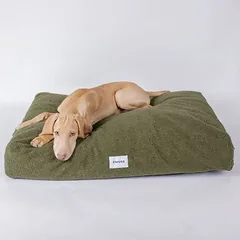 Caruso guolis šunims Teddy, Mažiems 5–10 kg — 3 nuotrauka