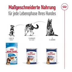 Royal Canin Maxi Adult Mousse drėgnas maistas šunims — 5 nuotrauka