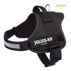 K9®Powerharness, M/0: 58–76 cm/40 mm, black parduotuvėje petreon.lt