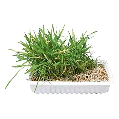Trixie žolė katėms 130 g