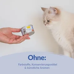 GimCat ShinyCat filė sultinyje, drėgnas maistas katėms 6 x 70 g — 5 nuotrauka