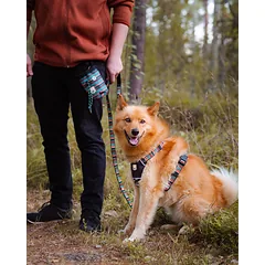 WOOLLY WOLF Woodland petnešos šunims, M — 5 nuotrauka