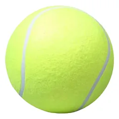 Teniso kamuoliukas šunims 24 cm — 2 nuotrauka