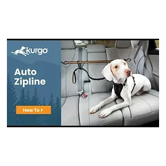 Kurgo Auto Zip Line - šuns saugos diržas galinei automobilio sėdynei — 2 nuotrauka
