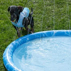 TIAKI baseinas šunims Splash, Ø 120 cm — 5 nuotrauka