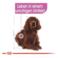 Royal Canin Relax Care Medium sausas maistas šunims — 3 nuotrauka