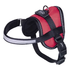 Nobby Seguro Mini raudonos petnešos šunims, 31–40 cm