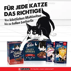 Felix „Tasty Shreds“ maišeliai, drėgnas maistas katėms 44 x 80 g