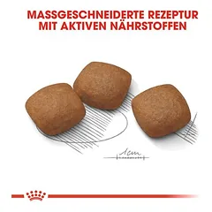 Royal Canin Maxi Joint Care sausas maistas šunims — 3 nuotrauka