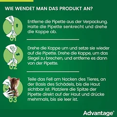 Advantage® katėms ir dekoratyviniams triušiams, Ekonominė pakuotė: 8 pipetės x 0,8 ml (> 4kg) — 3 nuotrauka