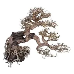 AMTRA dekoracija WOOD ORIENTAL natūralus medis 7 S