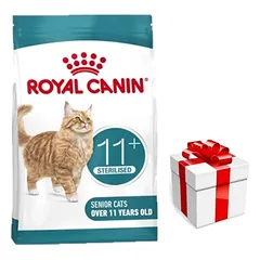 ROYAL CANIN Ageing Sterilised 11+ 4 kg sauso ėdalo suaugusioms vyresnėms nei 11 metų katėms, sterilizuotas + Staigmena katei