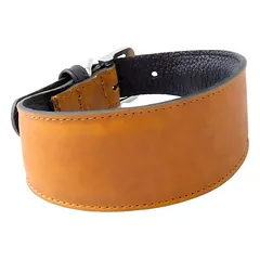 Das Lederband Windhundhalsband Vancouver Maroon/Black