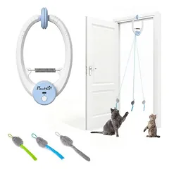 PawHut Intelligenz Katzenspielzeug