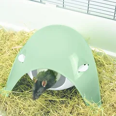 Savic pakabinamas namelis Sputnik XL, žalias, botaninė žalia, pilka — 4 nuotrauka