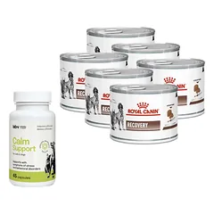 ROYAL CANIN Recovery 6x195g skardinė + LAB-V Calm Support - streso ir elgesio sutrikimų simptomų palaikymas 45 kapsulės