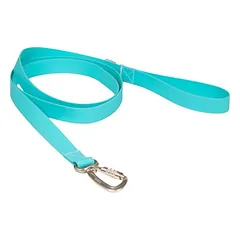 PAIKKA Hundeleine "Glow Leash" aqua
