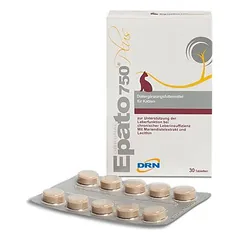 ICF Epato Plus Tabletten nuotrauka