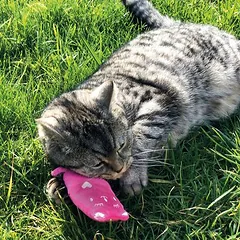 Aumüller žaislinė pagalvėlė katėms Pliušinės katės, Dideliems > 5 kg — 2 nuotrauka