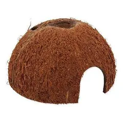 Terariumo dekoras: „Repti Planet Coco Shell M“ nuotrauka