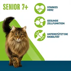 Perfect Fit Senior 7+ - Reich an Huhn