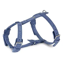 Das Lederband Geschirr Toronto Jeans