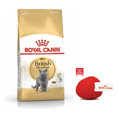ROYAL CANIN British Shorthair 10 kg + Royal Canin kamuoliukas katėms NEMOKAMAI