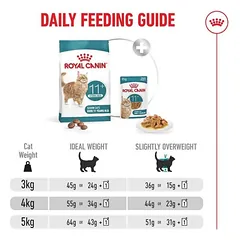 Royal Canin FHN C Ageing Steril 11+ sausas katėms, 2 kg — 5 nuotrauka