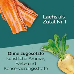 PURINA ONE Dual Nature Sterilized su lašiša ir spanguolėmis, sausas maistas katėms — 3 nuotrauka