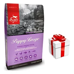 ORIJEN Dog Puppy Large 11,4kg + STAIGMENA ŠUNIUI
