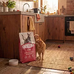 Carnilove Cat Sterilised Lamb & Wild Boar begrūdis sausas ėdalas sterilizuotoms katėms su ėriena ir šerniena, 2 kg — 5 nuotrauka
