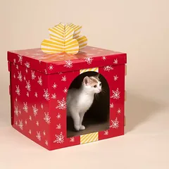 TIAKI Kratzmöbel Rote Geschenkbox