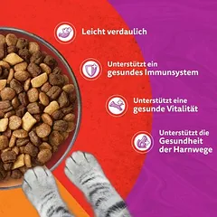 Whiskas 1+ Duo Classic Combos su ėriena ir kalakutiena, sausas maistas katėms — 5 nuotrauka